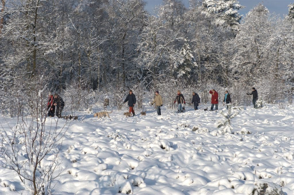 Winterwandeling sneeuw (2142 x 1422)