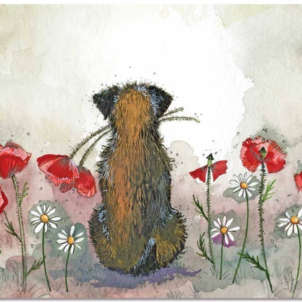 Border placemat klaproos